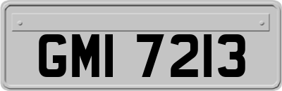 GMI7213
