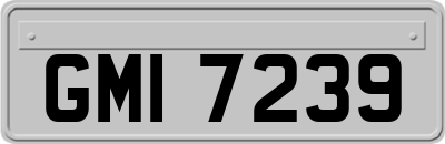 GMI7239