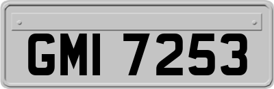 GMI7253