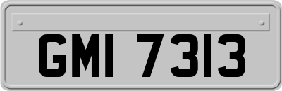 GMI7313