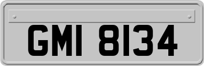 GMI8134