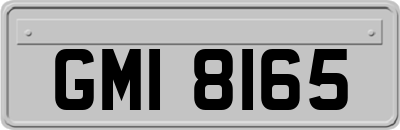 GMI8165