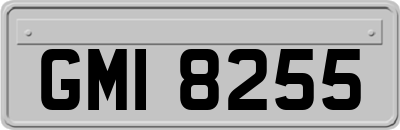 GMI8255