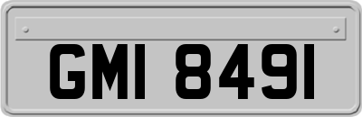 GMI8491