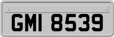 GMI8539