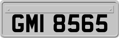 GMI8565