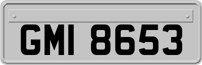GMI8653
