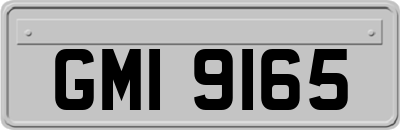 GMI9165