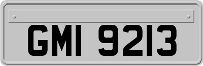 GMI9213
