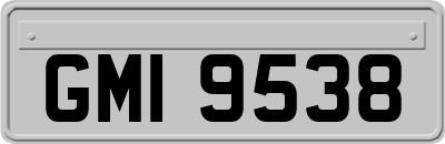 GMI9538
