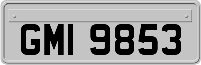 GMI9853