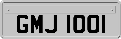 GMJ1001