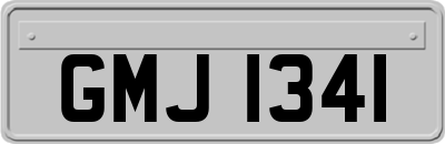 GMJ1341