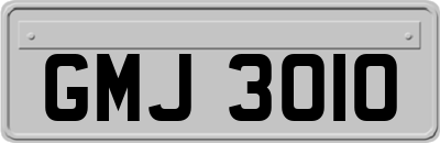 GMJ3010