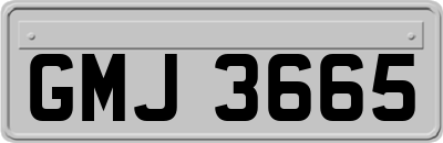 GMJ3665