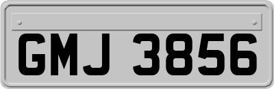 GMJ3856