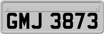 GMJ3873