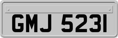 GMJ5231