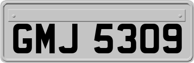 GMJ5309