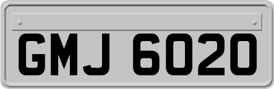 GMJ6020