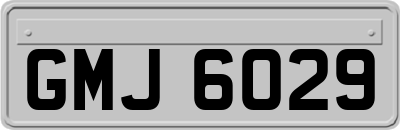 GMJ6029