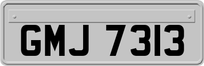 GMJ7313