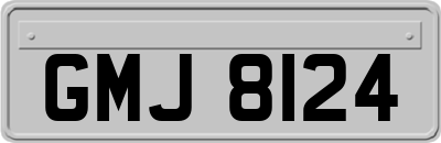 GMJ8124