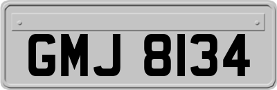 GMJ8134