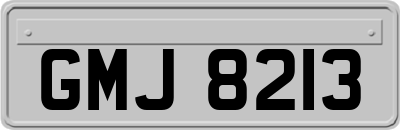 GMJ8213