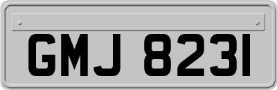 GMJ8231