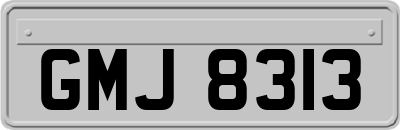 GMJ8313