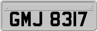 GMJ8317