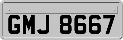 GMJ8667