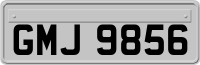 GMJ9856