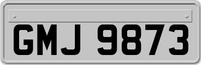GMJ9873