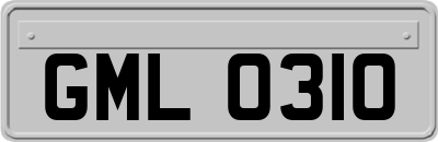 GML0310