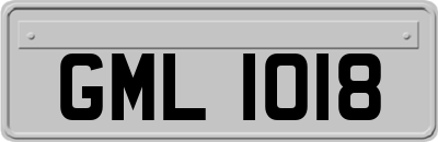 GML1018