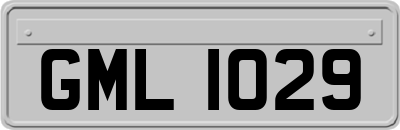 GML1029