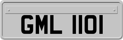 GML1101