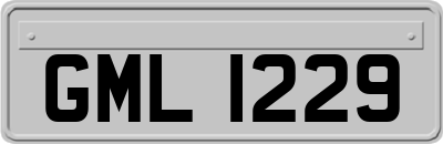 GML1229