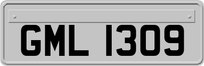 GML1309