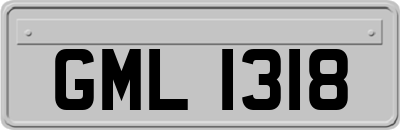 GML1318