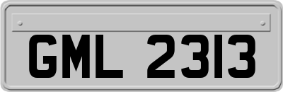 GML2313