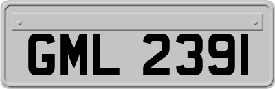 GML2391