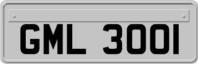 GML3001