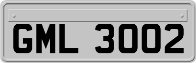 GML3002