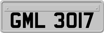 GML3017