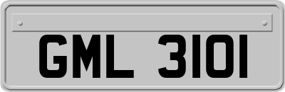 GML3101