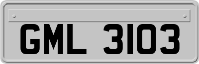 GML3103
