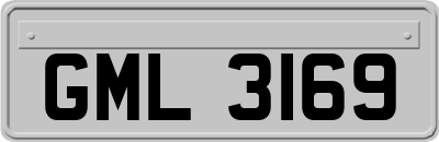 GML3169